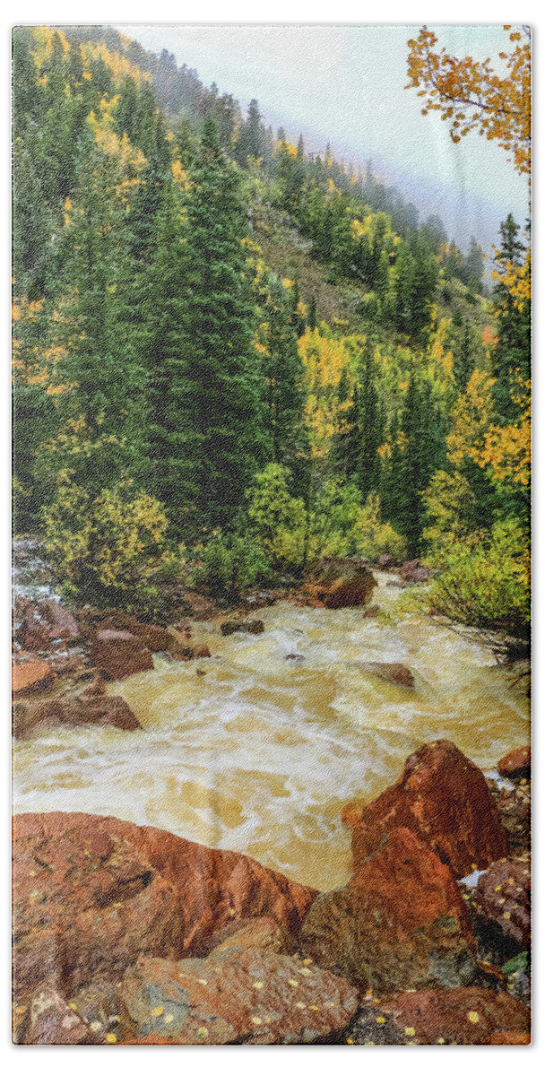 Aspen Tree Beach Towel featuring the photograph Red Mountain Creek in San Juan Mountains by Dawn Richards