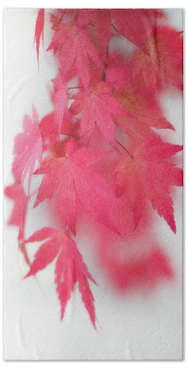 Autumn Beach Towel featuring the photograph Red Movement by Philippe Sainte-Laudy