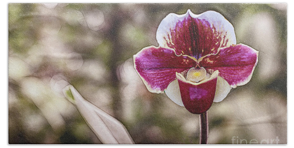 Digitally Beach Towel featuring the photograph Red Orchid with Bokeh by Roslyn Wilkins