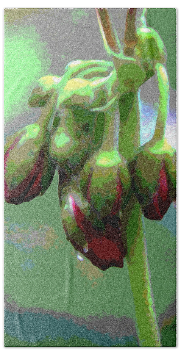 Posterized Beach Towel featuring the photograph Red Posterized Geranium Flower Buds by Philip And Robbie Bracco