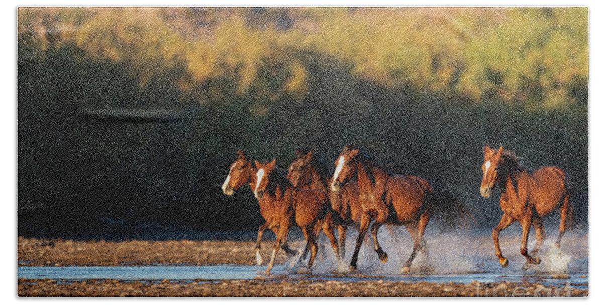 Salt River Wild Horses Beach Towel featuring the photograph River Run 3 by Shannon Hastings