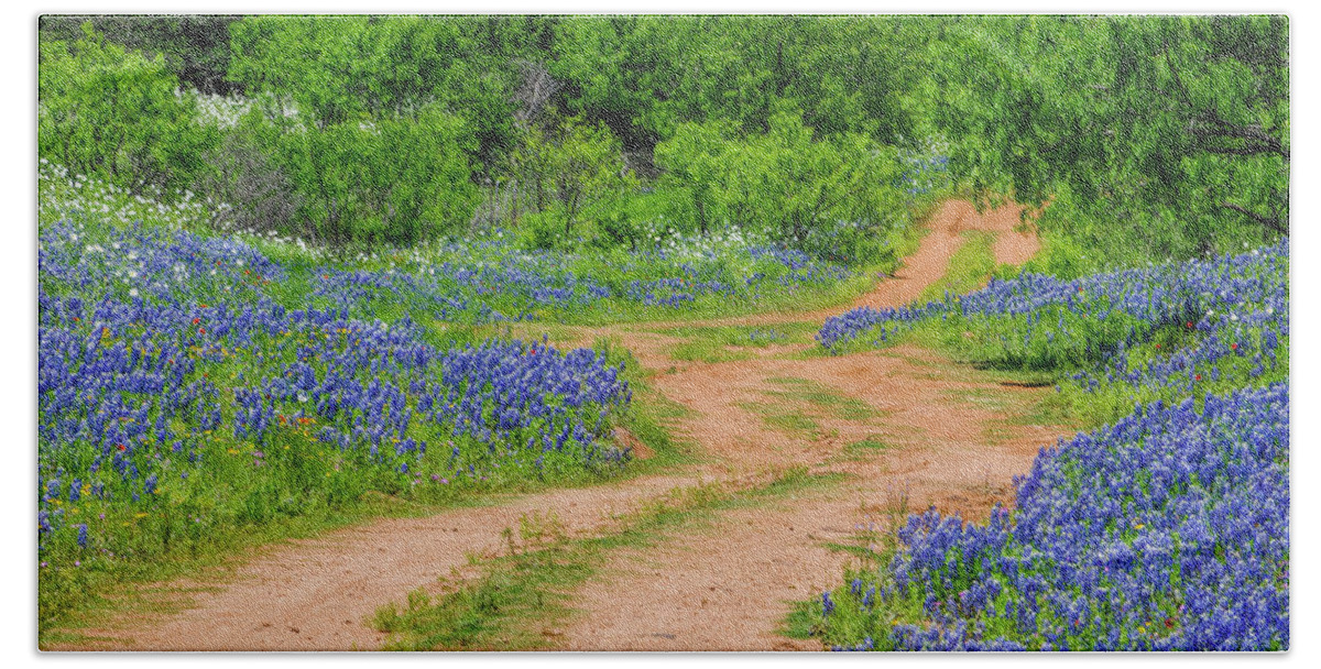 Texas Bluebonnets Beach Towel featuring the photograph Road To Bluebonnets by Johnny Boyd