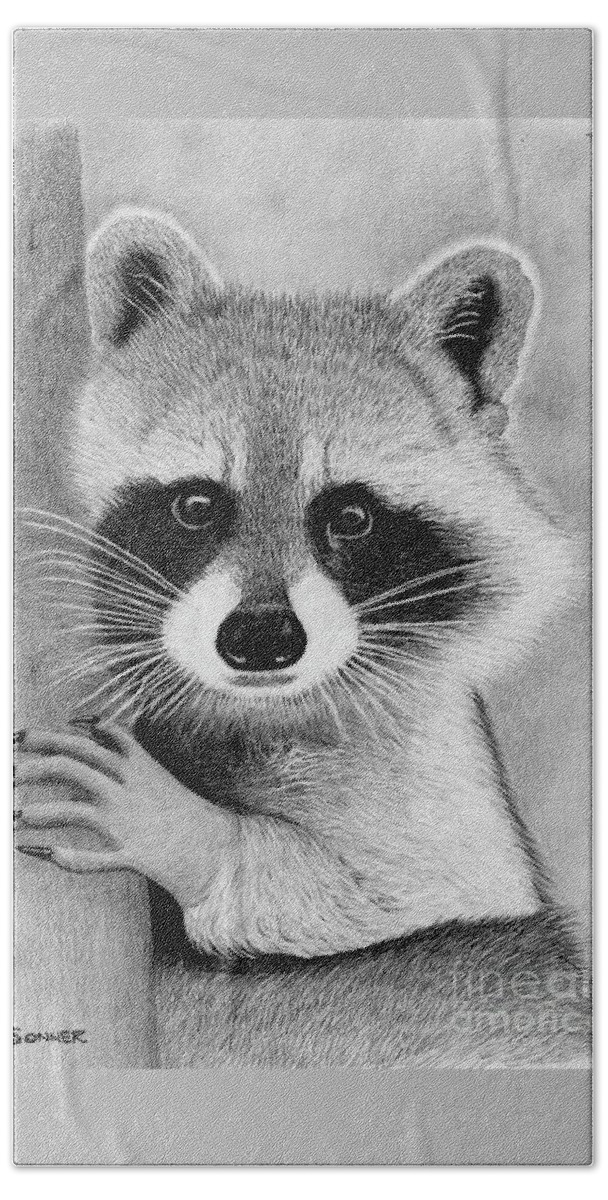 Racoon Beach Towel featuring the drawing Rocky by George Sonner