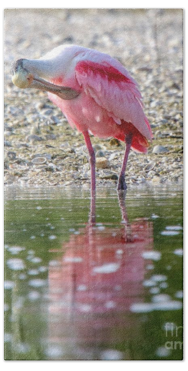 Spoonbill Beach Sheet featuring the photograph Roseate Spoonbil by Susan Rydberg