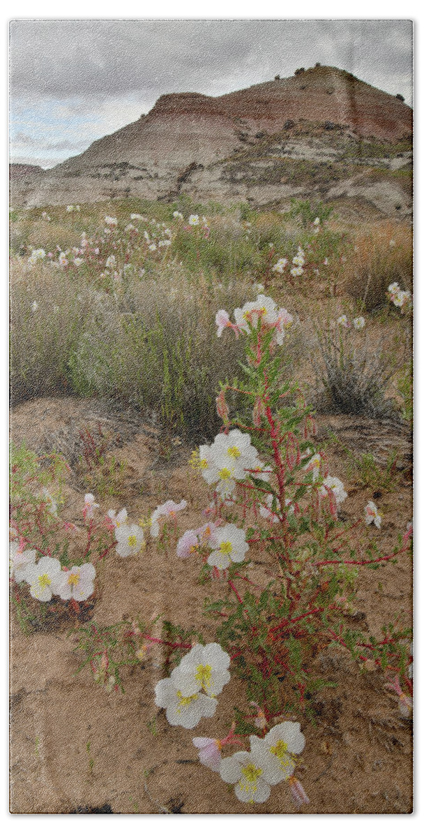 Ruby Mountain Beach Towel featuring the photograph Ruby Mountain Desert Rose by Ray Mathis