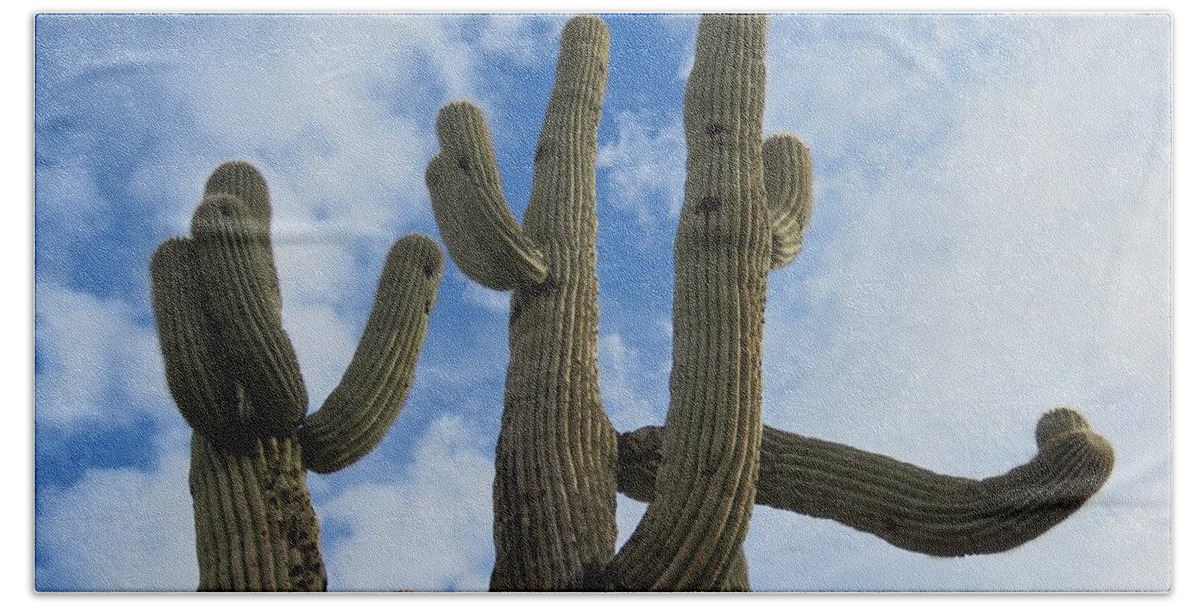 Arizona Beach Sheet featuring the photograph Saguaro Clique by Judy Kennedy