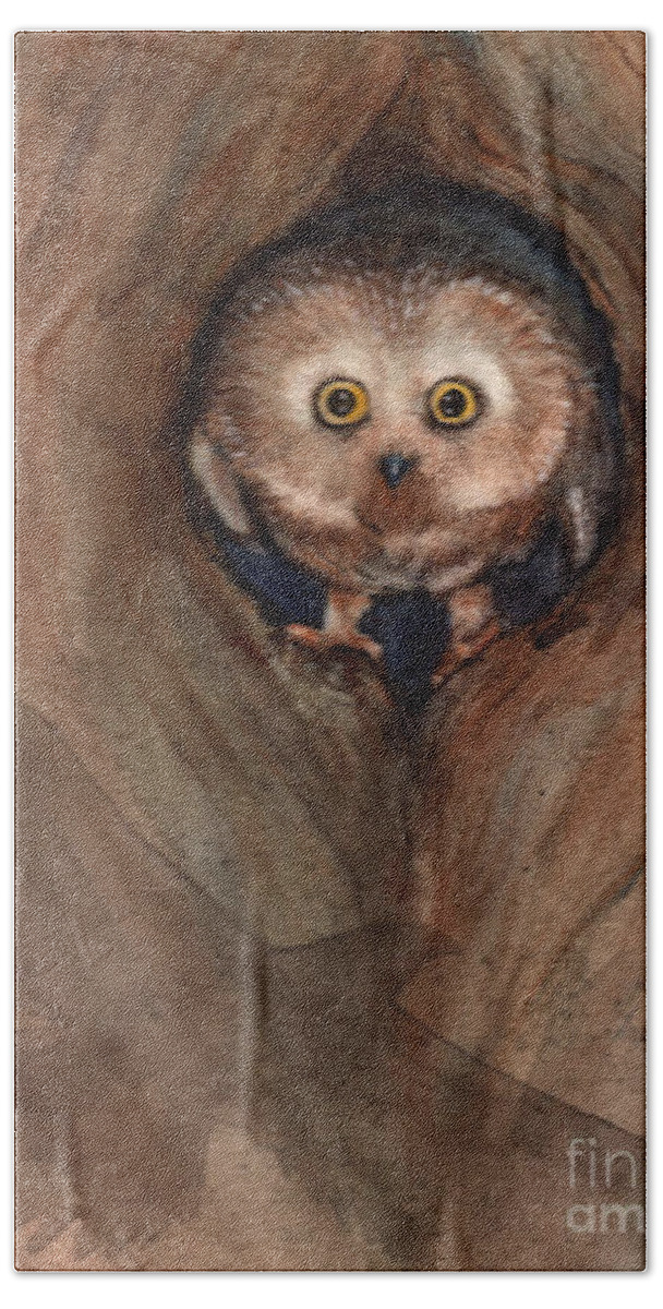 Owl Beach Towel featuring the painting Scardy Owl by Amy Stielstra