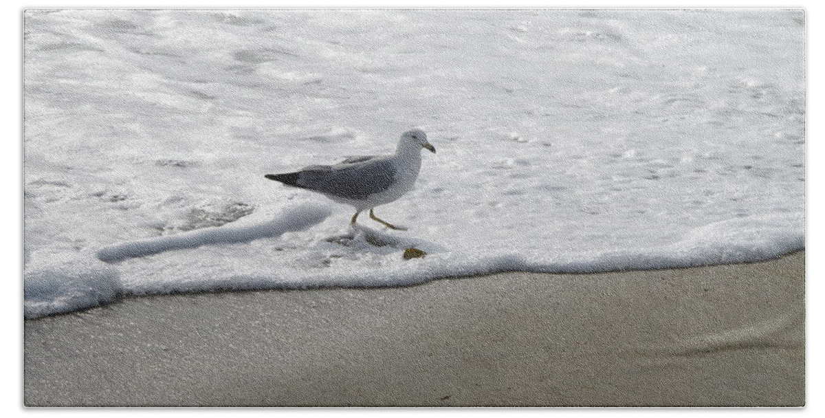 Seagull Beach Towel featuring the photograph Seagull Running Through Waves by Laura Smith