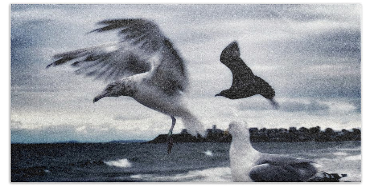 Seagulls Beach Sheet featuring the photograph Seagulls by Mary Capriole