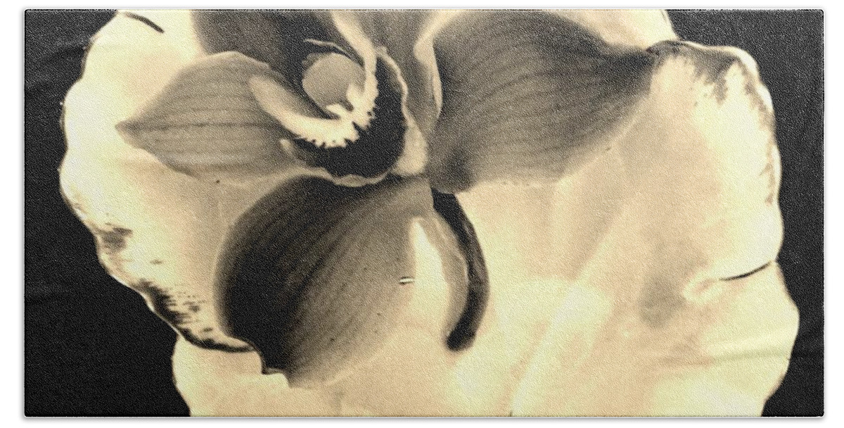 Photo Beach Towel featuring the photograph Sepia Orchid in Leaf Dish by Marsha Heiken
