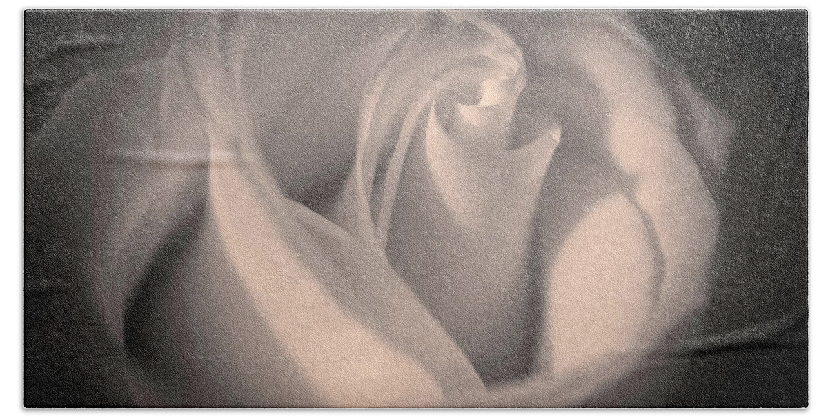 Photograph Beach Towel featuring the photograph Silky Pastel Rose by Pheasant Run Gallery