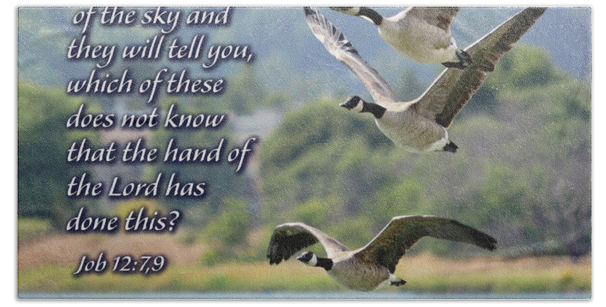 Bible Verse Beach Towel featuring the photograph Skein of Canada Geese with Scripture by Brian Tada