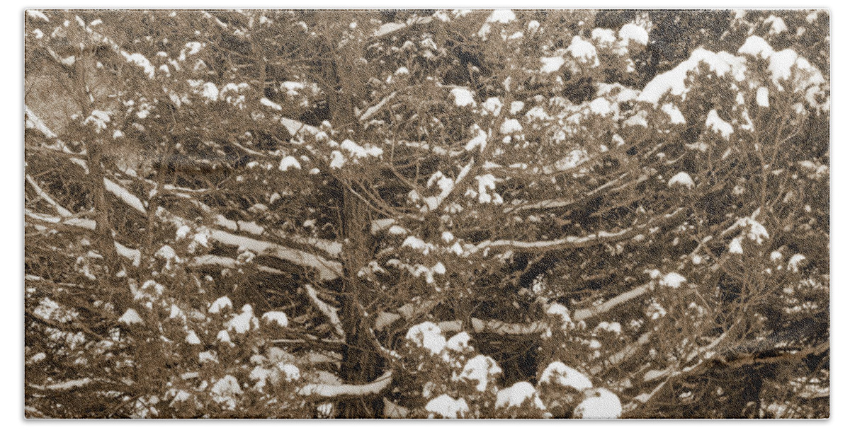 North Dakota Beach Towel featuring the photograph Snow and Branches by Cris Fulton