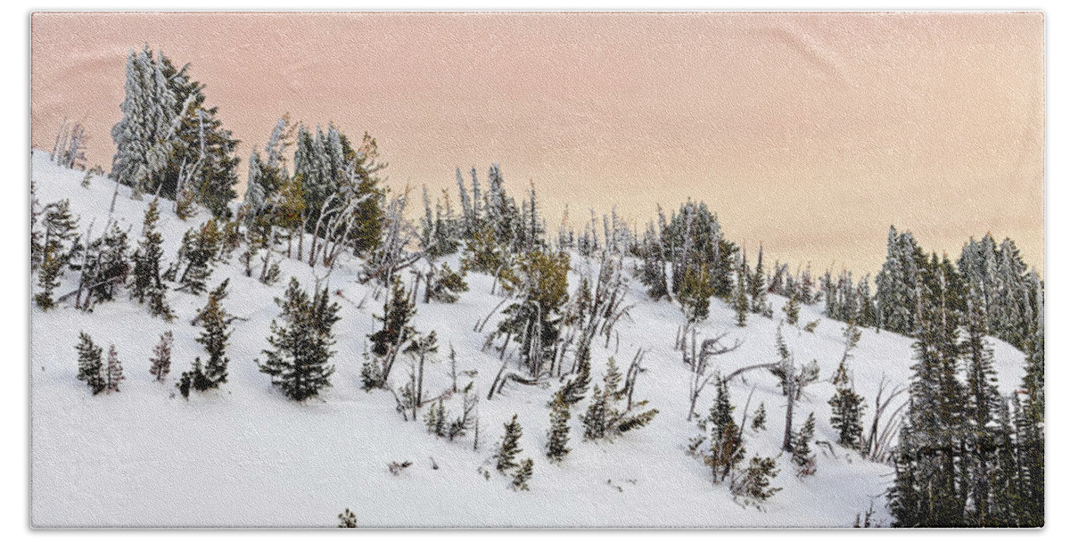 Snow; Snowy Mountain; Steep Beach Towel featuring the photograph Snowy Winter Mountain Hillside Landscape Ice Snow On Conifer Trees Colorful Sky by Robert C Paulson Jr