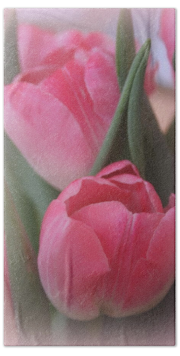 Tulips Beach Sheet featuring the photograph Soft and Pink Tulips by Kay Novy