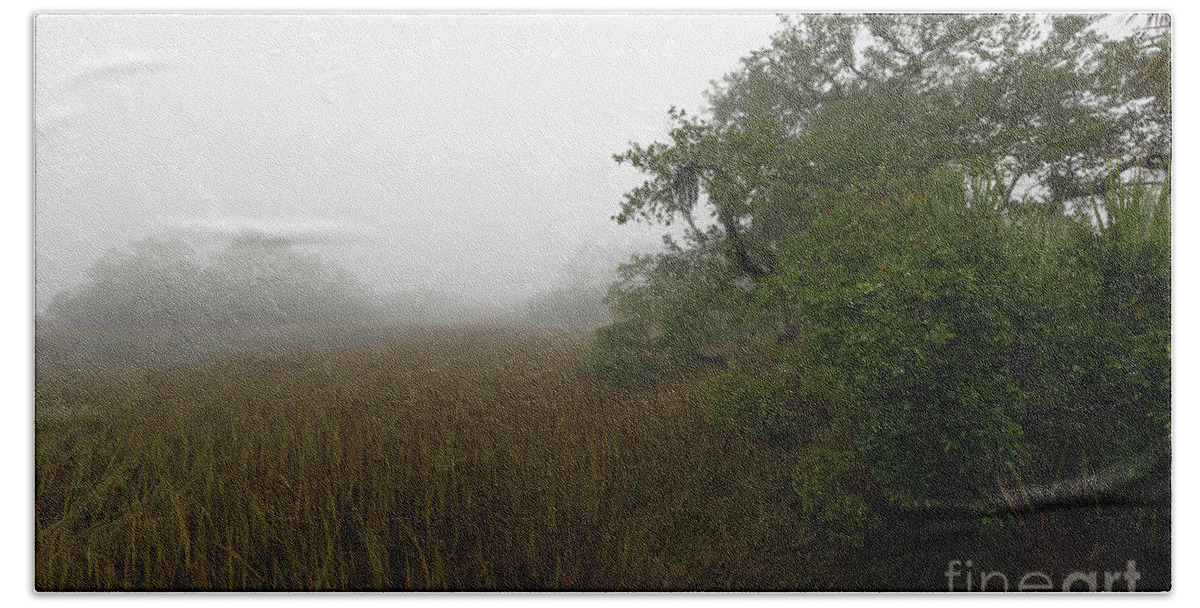 Fog Beach Towel featuring the photograph Southern Framed Fog by Dale Powell