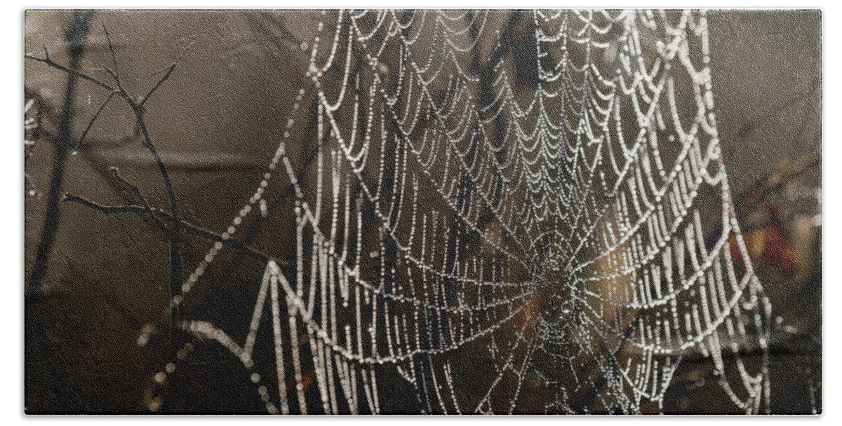 Astoria Beach Towel featuring the photograph Spooky Spider Web by Robert Potts