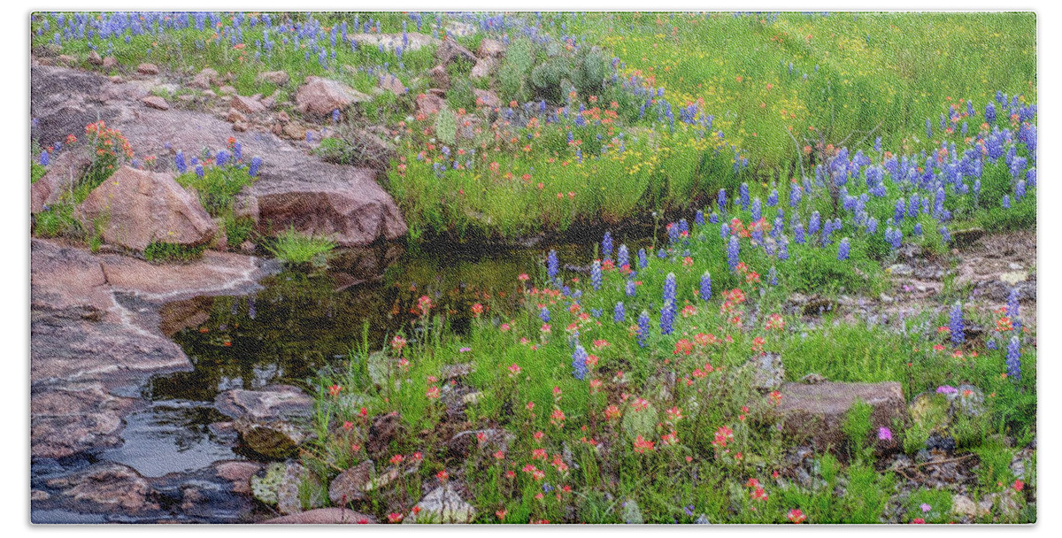 Texas Wildflowers Beach Towel featuring the photograph Spring Delight by Johnny Boyd