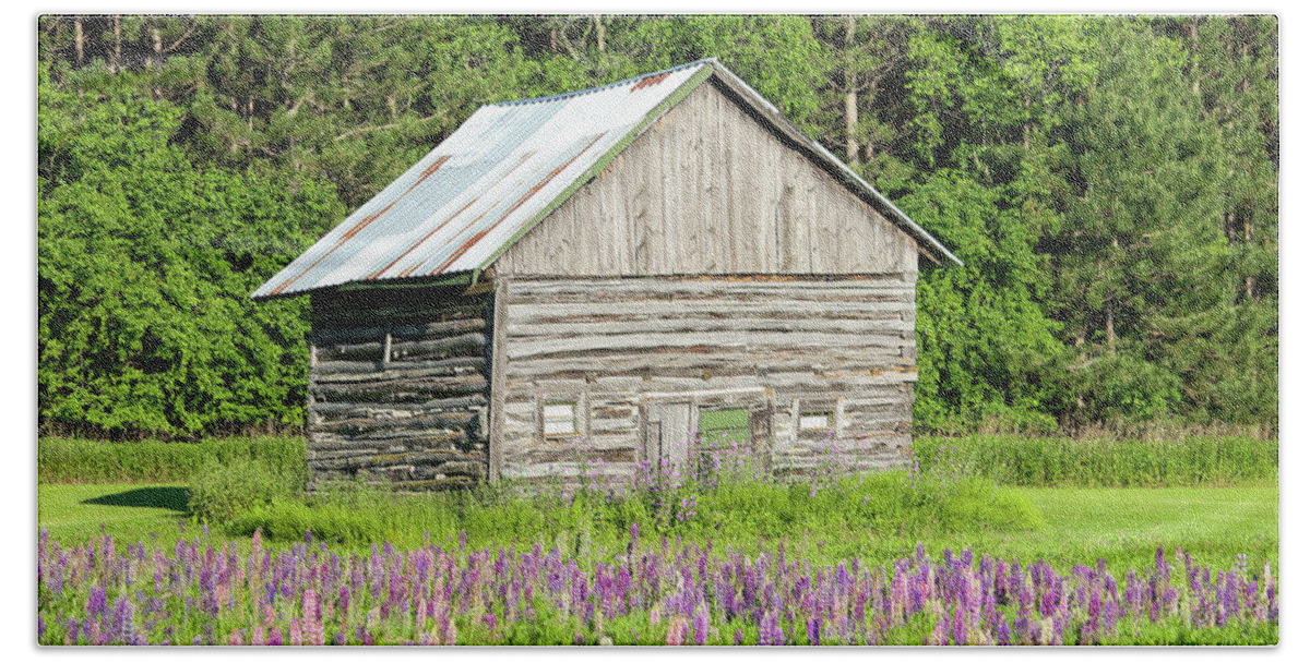 Lupine Beach Towel featuring the photograph Spring Lupine Farm 20 by Brook Burling