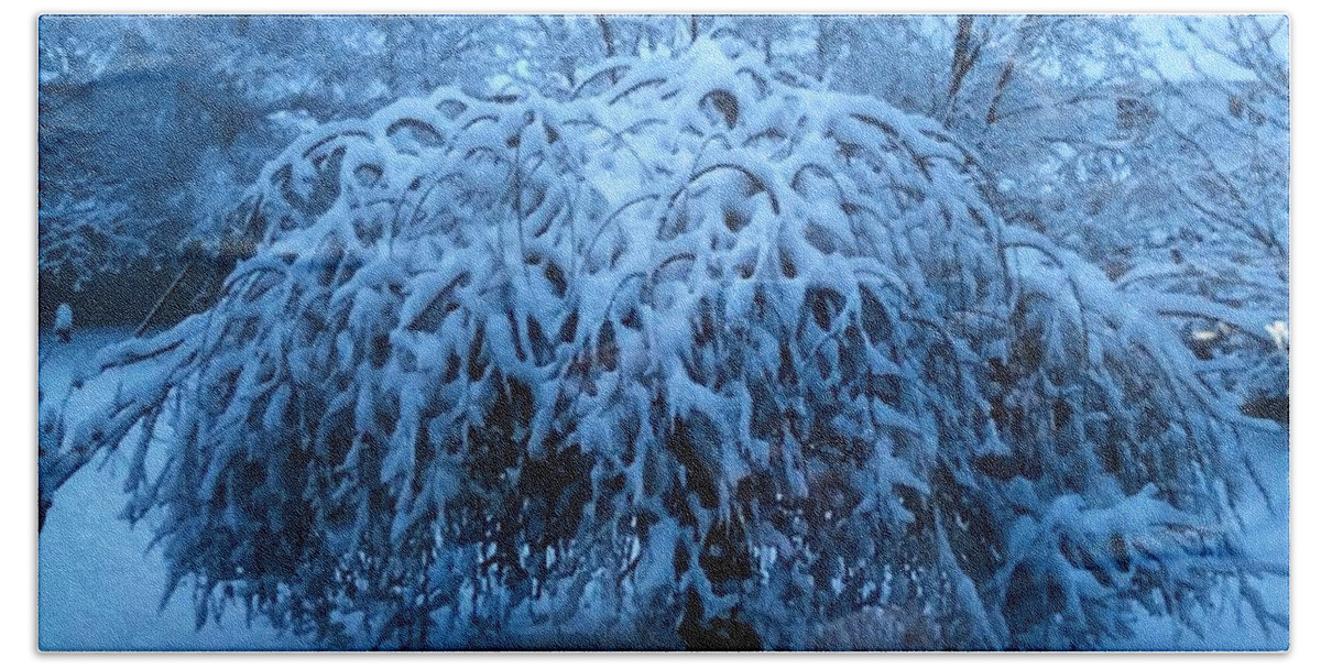 Tree Beach Towel featuring the photograph Spring Snow by Kate Conaboy