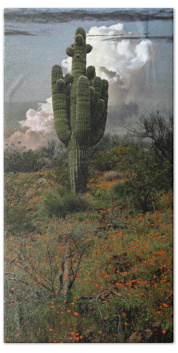 Cactus Beach Towel featuring the photograph Springtime Saguaro by Hans Brakob