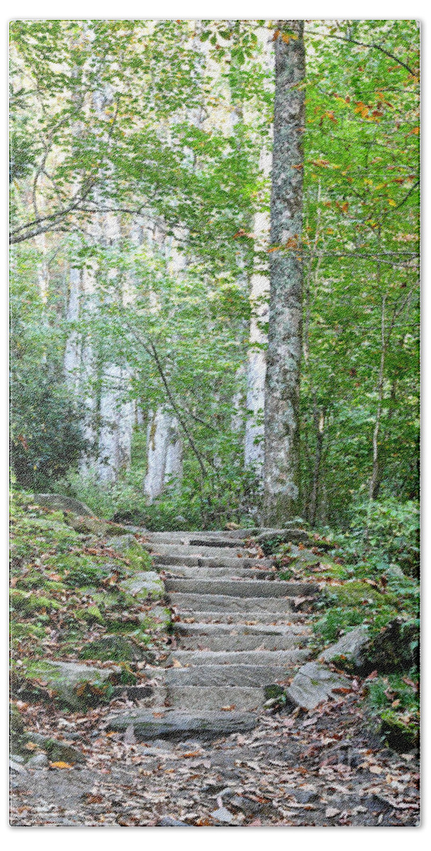 Tennessee Beach Towel featuring the photograph Steps Up Into The Forest 1 by Phil Perkins