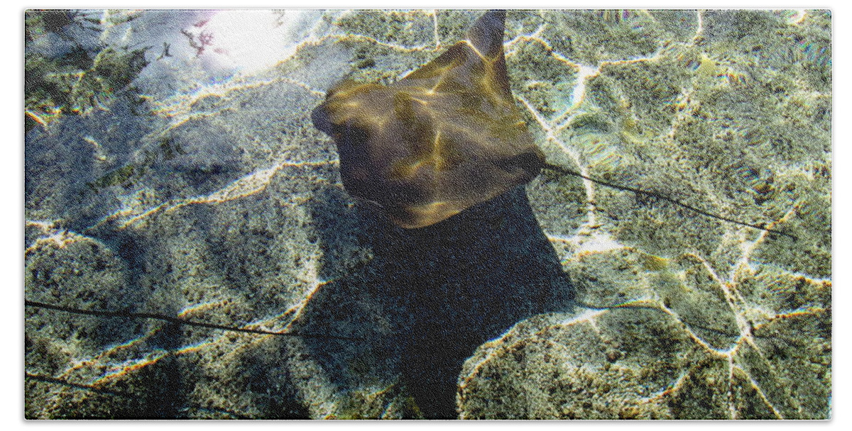 Green Beach Towel featuring the photograph StingRay 2 Photograph by Kimberly Walker