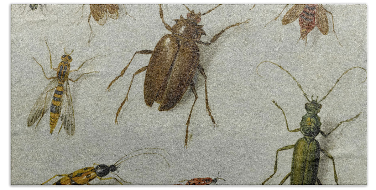 17th Century Art Beach Towel featuring the painting Study of Insects by Jan van Kessel the Elder