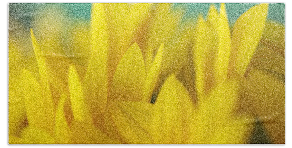 Sunflower Beach Towel featuring the photograph Sunflowers 695 by Michael Fryd