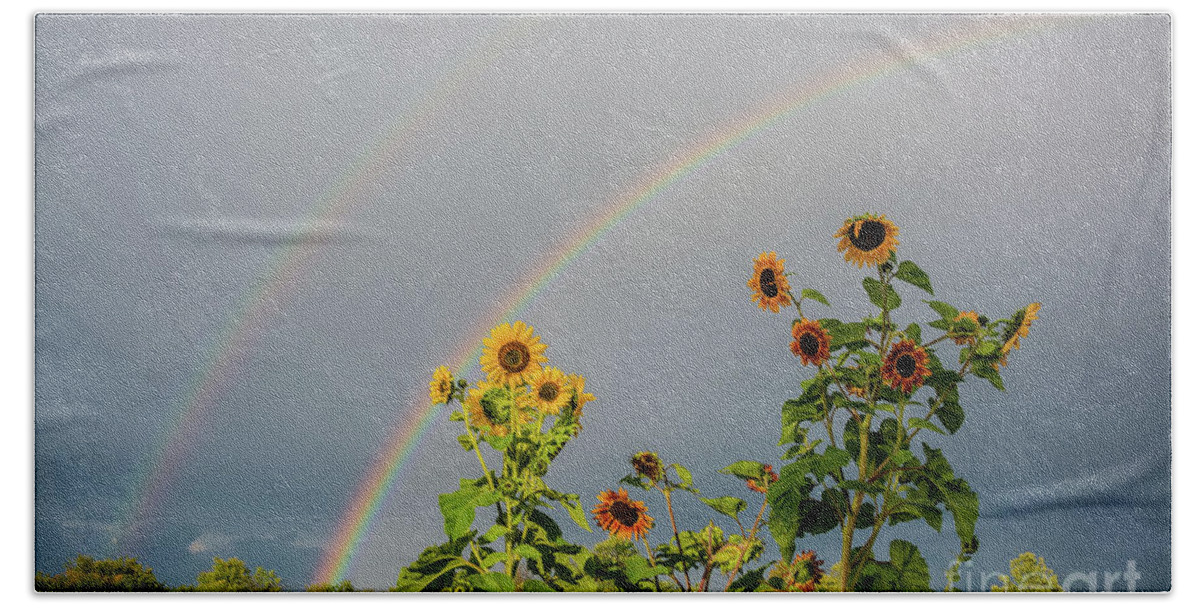 Cheryl Baxter Photography Beach Towel featuring the photograph Sunflowers Under the Rainbow by Cheryl Baxter
