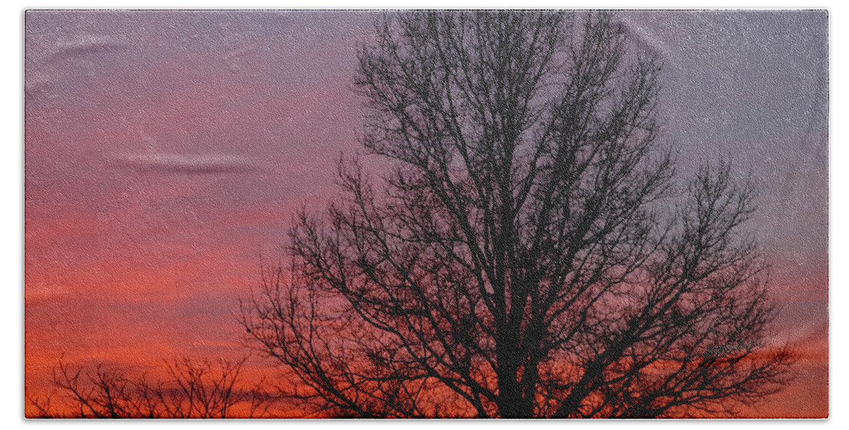 Tree Beach Towel featuring the photograph Sunset Tree by Minnie Gallman