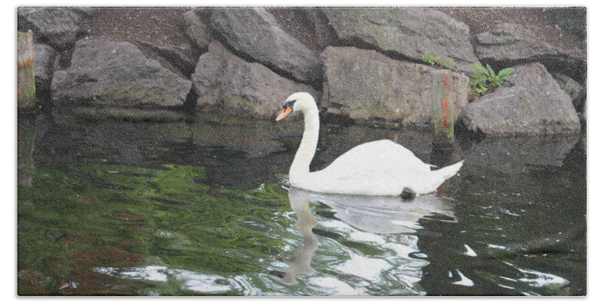 Swan Beach Towel featuring the photograph Swan in Boston Public Garden by Laura Smith