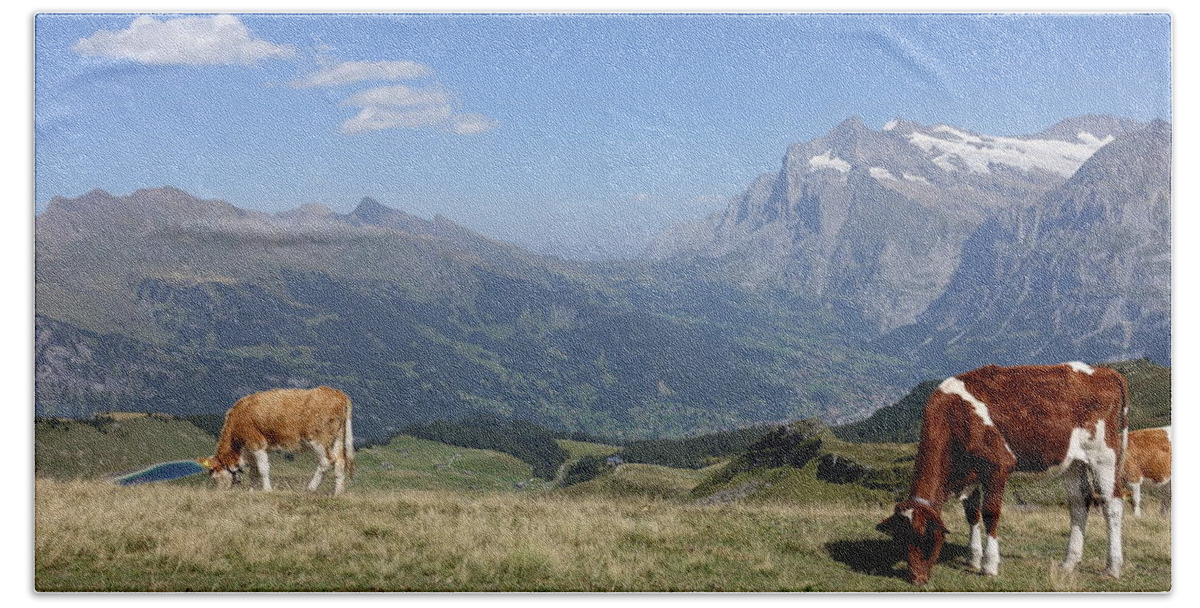 Switzerland Beach Towel featuring the photograph Swiss Cows Grazing by Patricia Caron