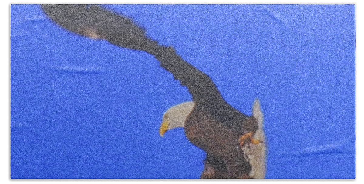 Eagle Beach Towel featuring the photograph Take off in Progress by Amanda Smith