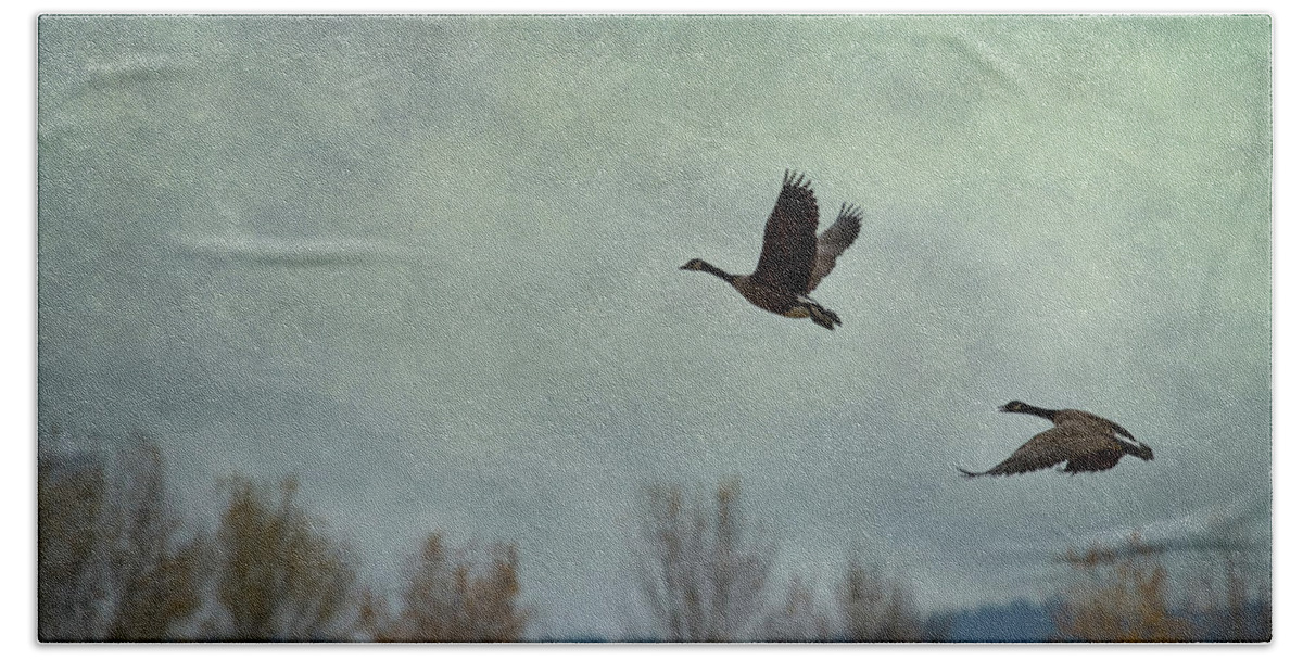 Geese Beach Towel featuring the photograph Taking Flight by Belinda Greb