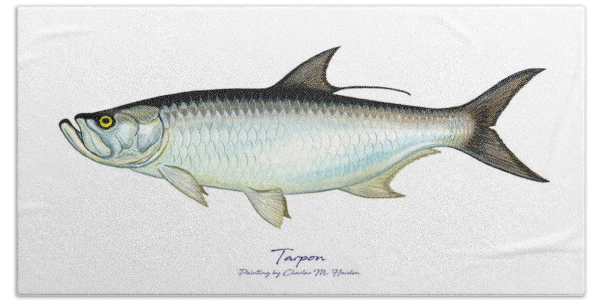 Charles Harden Beach Sheet featuring the painting Tarpon by Charles Harden