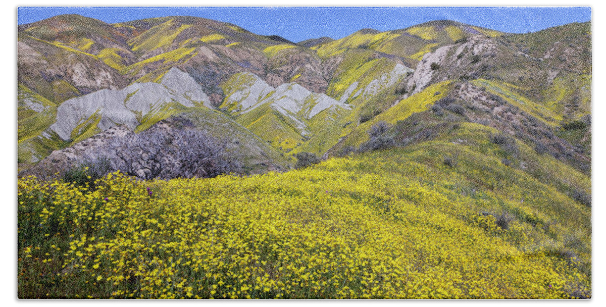 Carrizo Beach Towel featuring the photograph Temblor Range Wildflowers 12 by Rick Pisio