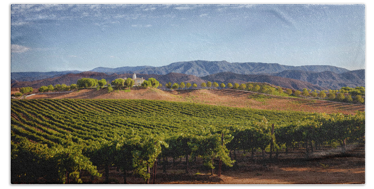  Beach Towel featuring the photograph Temecula Winery and Lioness Vineyard by Catherine Walters