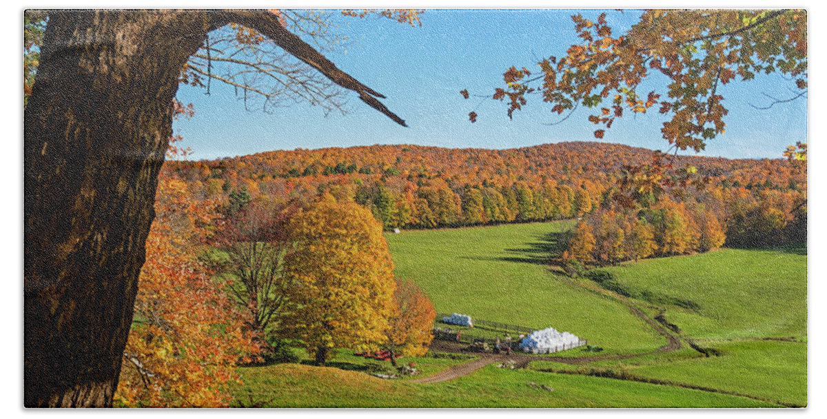 Woodstock Beach Towel featuring the photograph Tending to the Farm Woodstock Vermont VT Vibrant Autumn Foliage Yellow and Orange by Toby McGuire