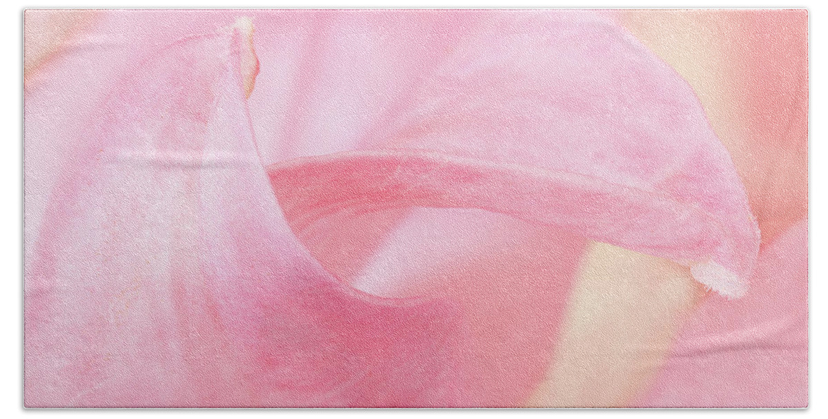 Outdoors Beach Towel featuring the photograph The greetings of the petals by Silvia Marcoschamer