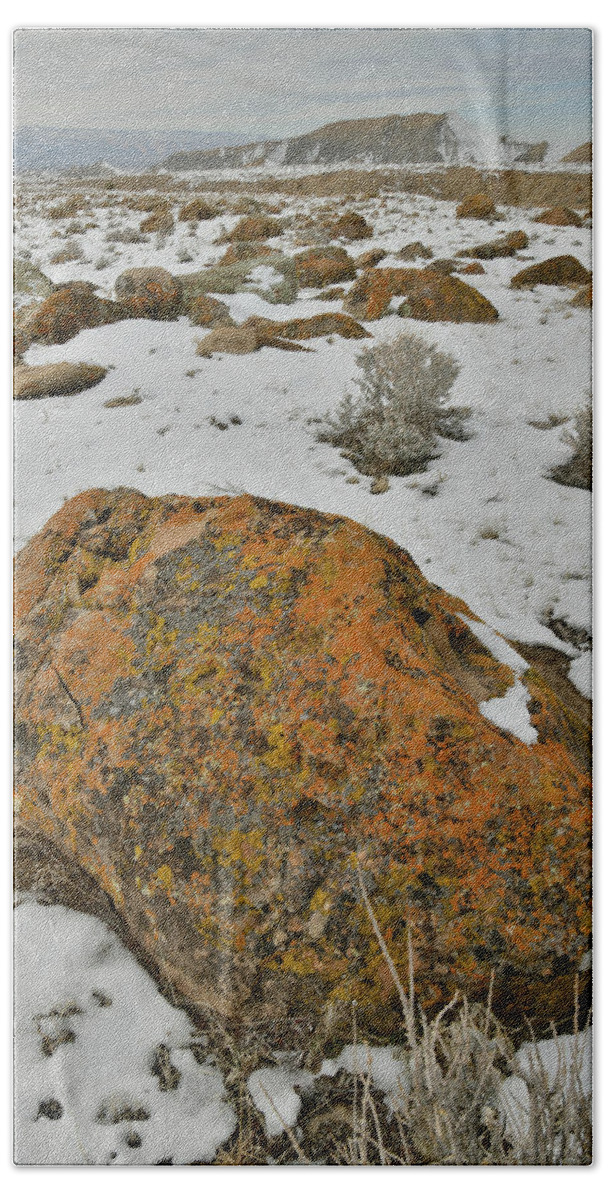 Book Cliffs Beach Sheet featuring the photograph The Lichen Covered Boulders of the Book Cliffs by Ray Mathis