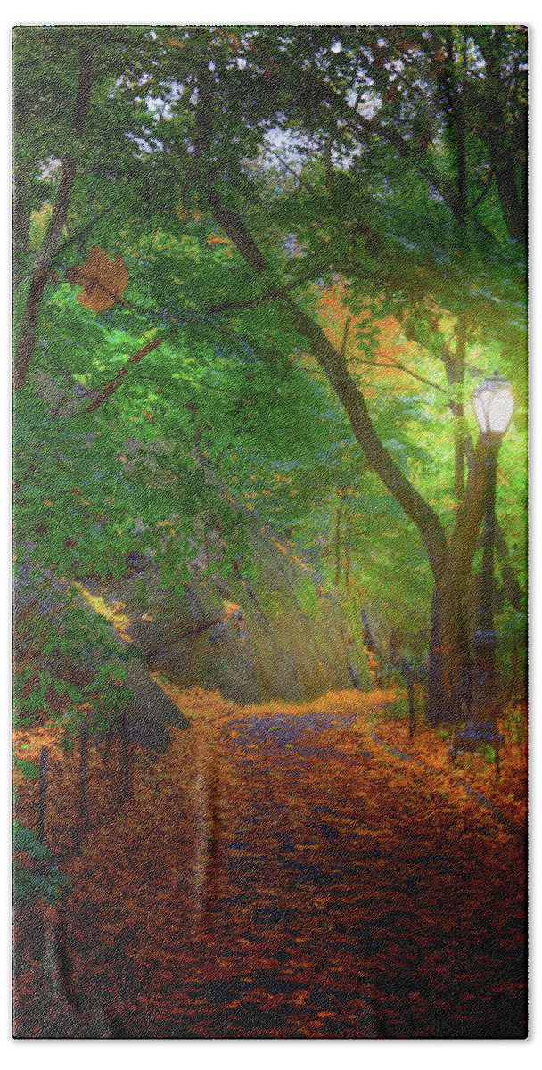 New York City Beach Towel featuring the photograph The Ramble in Central Park by Mark Andrew Thomas