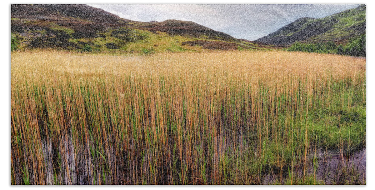 Lochan An Daim Beach Towel featuring the photograph The Reeds of Lochan an Daim - Scotland - Perthshire by Jason Politte