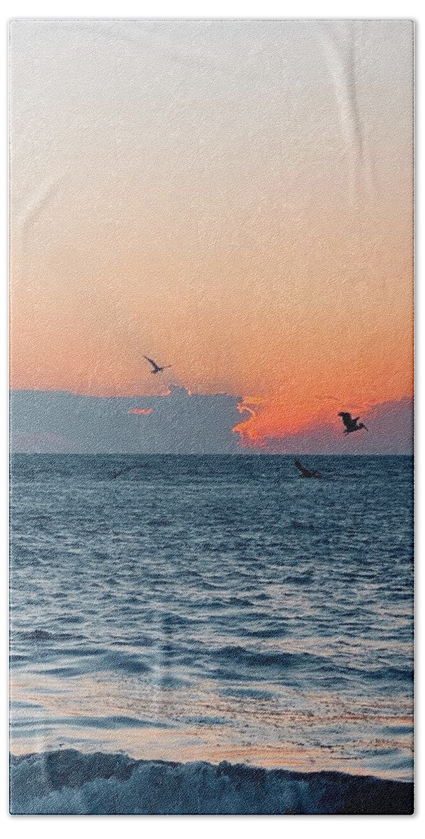 Birds Beach Towel featuring the photograph Captiva Island The Sunset Seabird Feast 1 by Shelly Tschupp
