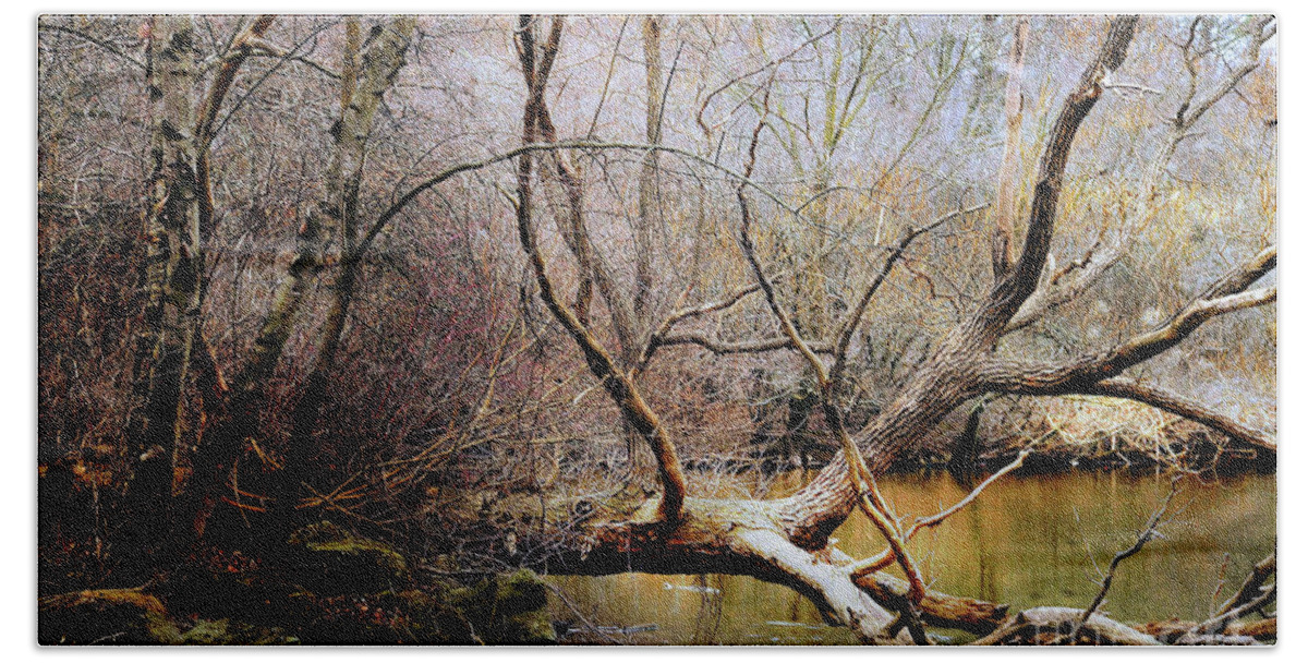 Wood Beach Sheet featuring the photograph The Unseen Forest by Elaine Manley