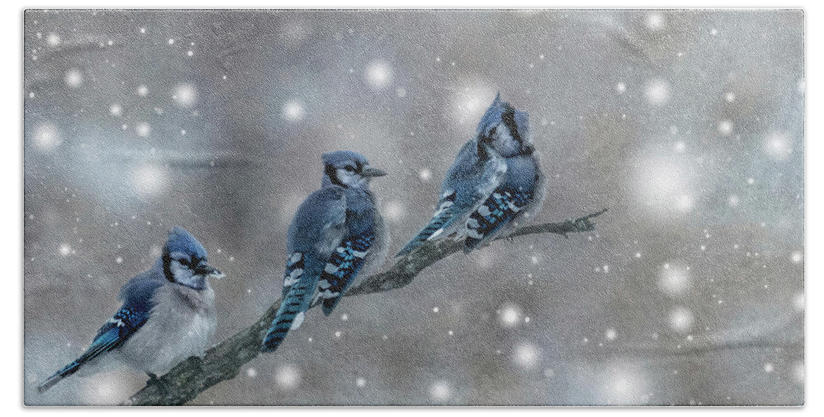 Three Beach Towel featuring the photograph Three Blue Jays in the Snow by Patti Deters