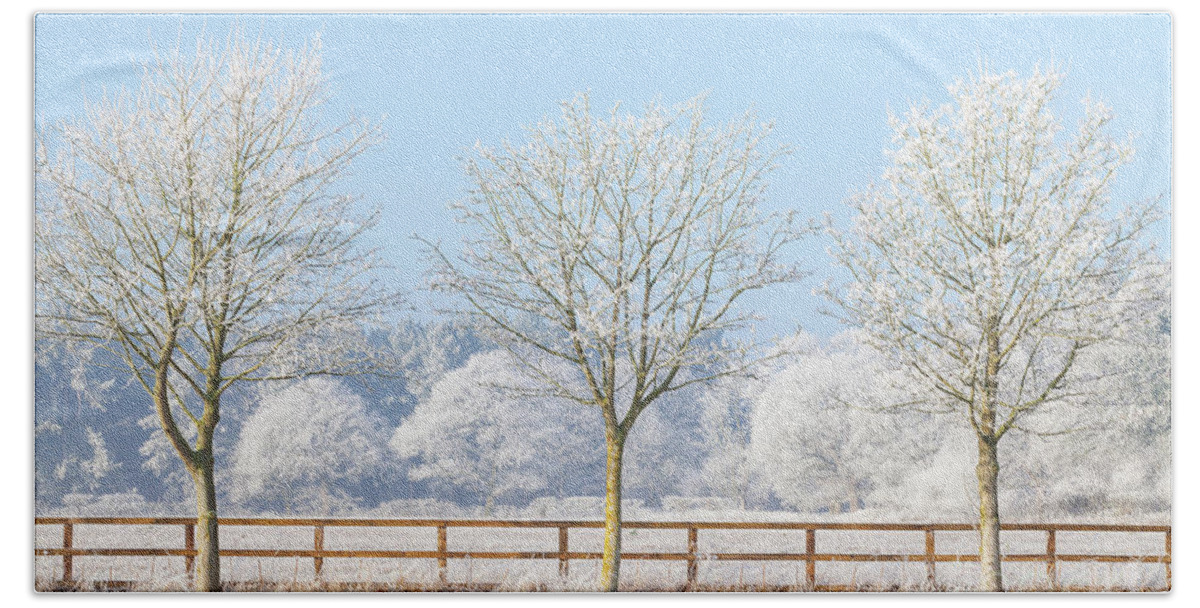 Landscape Beach Towel featuring the photograph Three winter trees and frozen fence by Simon Bratt