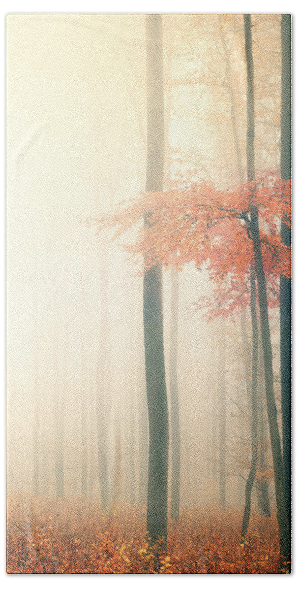 Forest Beach Towel featuring the photograph Took His Time by Philippe Sainte-Laudy