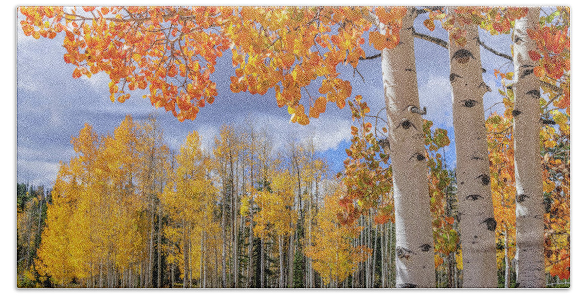 Aspen Beach Sheet featuring the photograph Touch of Fall by Chad Dutson
