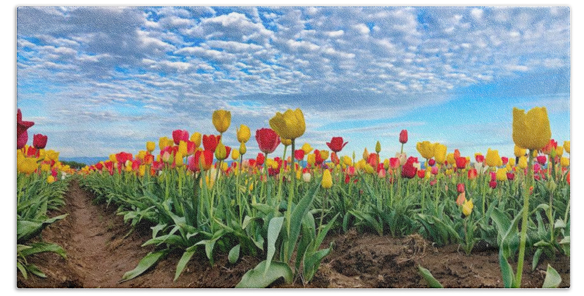 Tulips Beach Towel featuring the photograph Touch The Sky by Brian Eberly